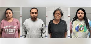 Desbaratan en operativo conjunto ‘foco criminal’