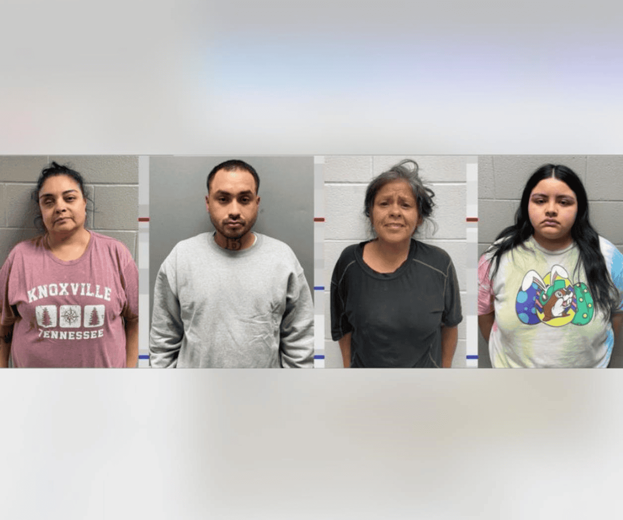Desbaratan en operativo conjunto ‘foco criminal’