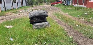 Las calles desaparecen entre basura y maleza