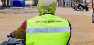 Resguardan más de 28mil huevos en campos tortugueros de Tamaulipas