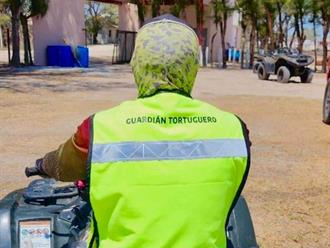 Resguardan más de 28mil huevos en campos tortugueros de Tamaulipas