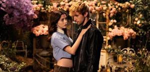 Plataformas digitales semillero de nuevas historias