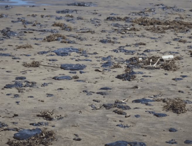 ONGS exigen reparación por derrame en Golfo de México