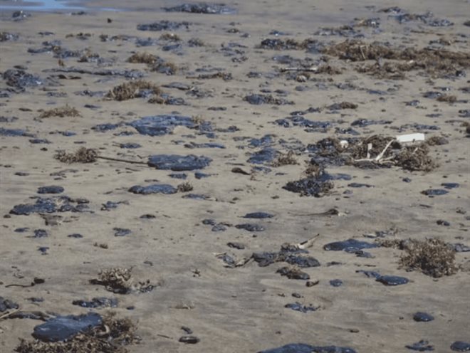 ONGS exigen reparación por derrame en Golfo de México