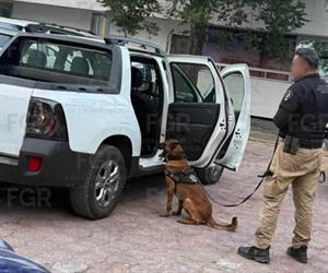 Aseguran 117 kilos de cocaína en Jaumave