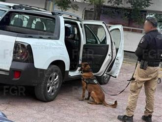 Aseguran 117 kilos de cocaína en Jaumave