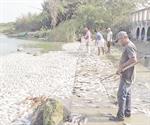Mortandad de peces supera antecedentes en laguna ‘Camalote’