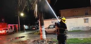 Controlan incendio en palma del fraccionamiento Residencial Los Ángeles