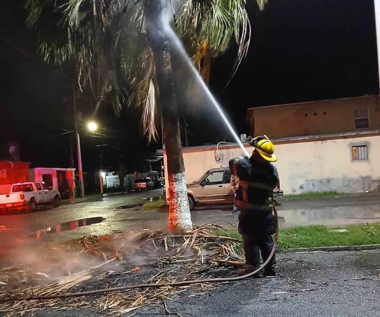 Controlan incendio en palma del fraccionamiento Residencial Los Ángeles