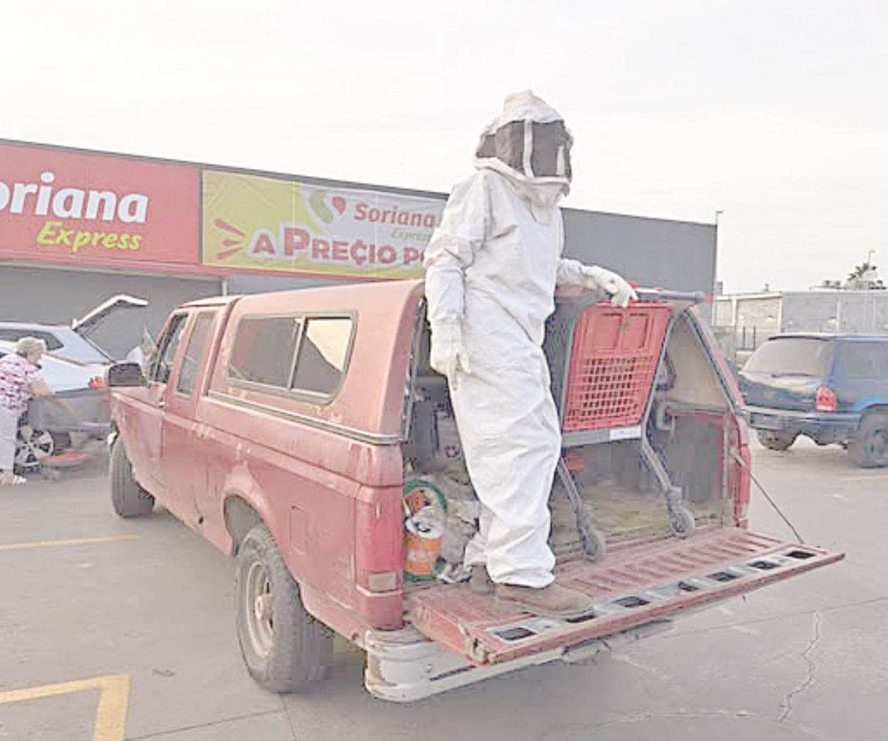 Detectan y reubican enjambre de abejas
