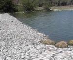 Atiende Conagua  mortandad de peces en límites de Tamaulipas