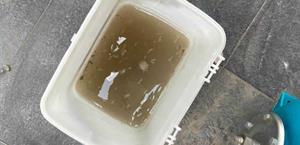 Reciben lodo en lugar de agua; hay omisión