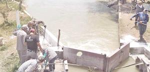 Limpian laguna; son retirados 2.5 toneladas de pescados muertos