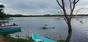 Aseguran calidad de pescado de la laguna Champayán