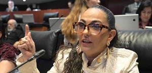 Plantea senadora frenar robo al autotransporte