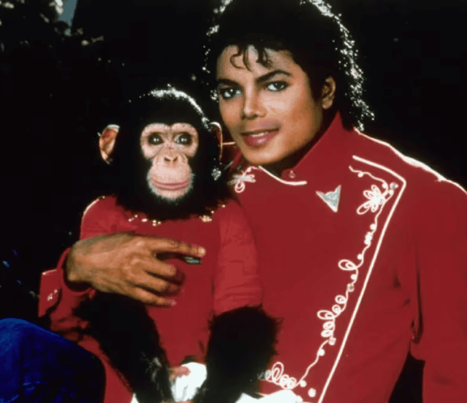 Bubbles: La historia del chimpancé de Michael Jackson