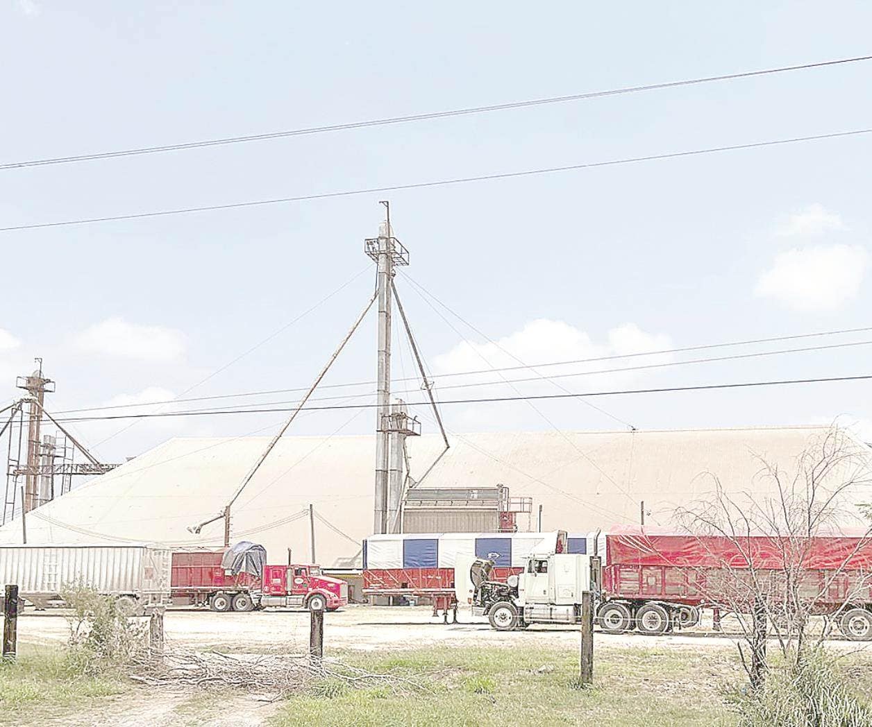 Tonelada de sorgo ronda los 3 mil 800 pesos
