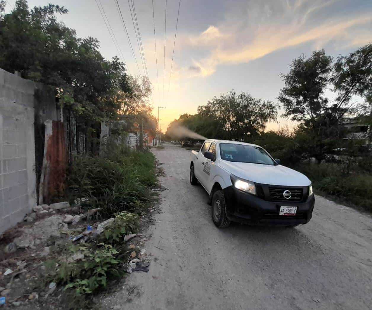 Fumigación en colonias para prevenir el dengue