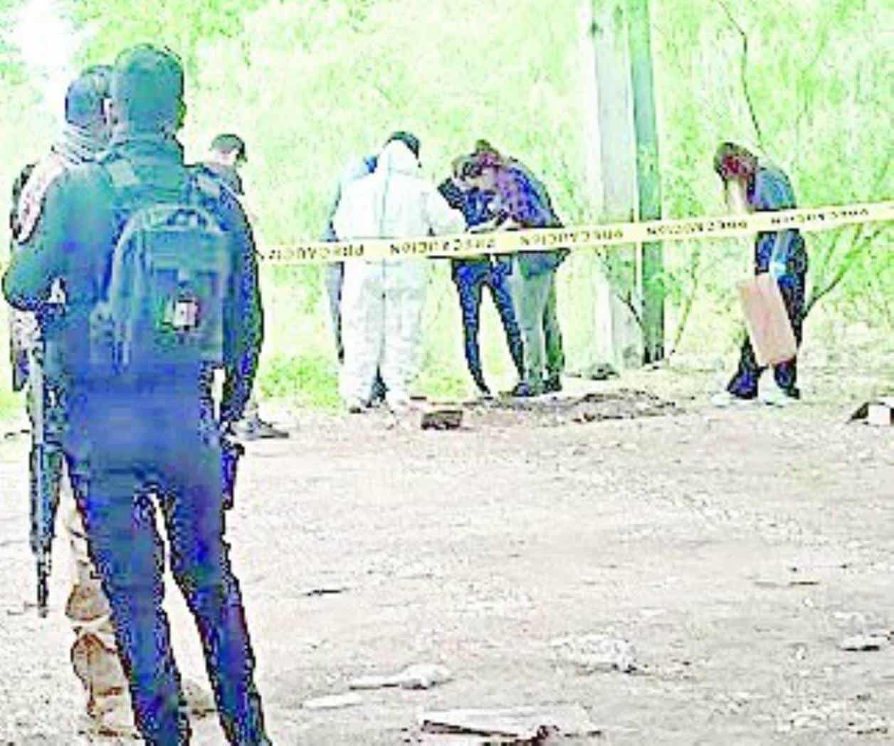 Reportaron el hallazgo de restos óseos