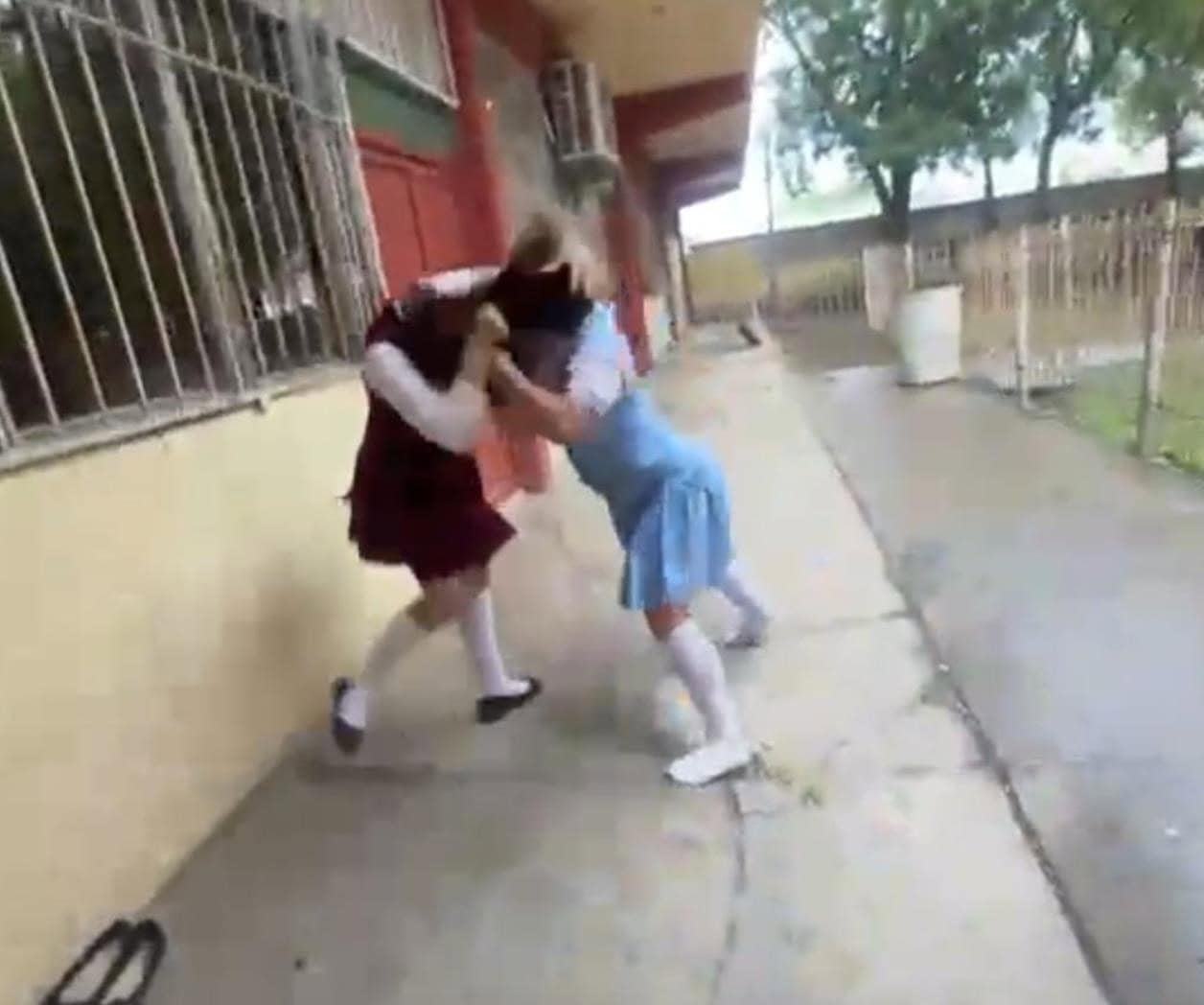 Violencia escolar desata alarma