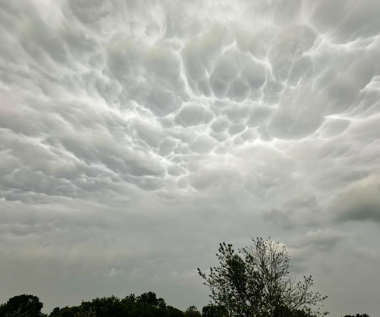 Golpea tornado al norte de Texas; deja 2 muertos