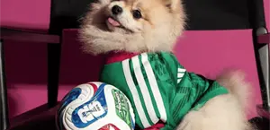 Adidas lanza jerseys mundialistas para perros en México