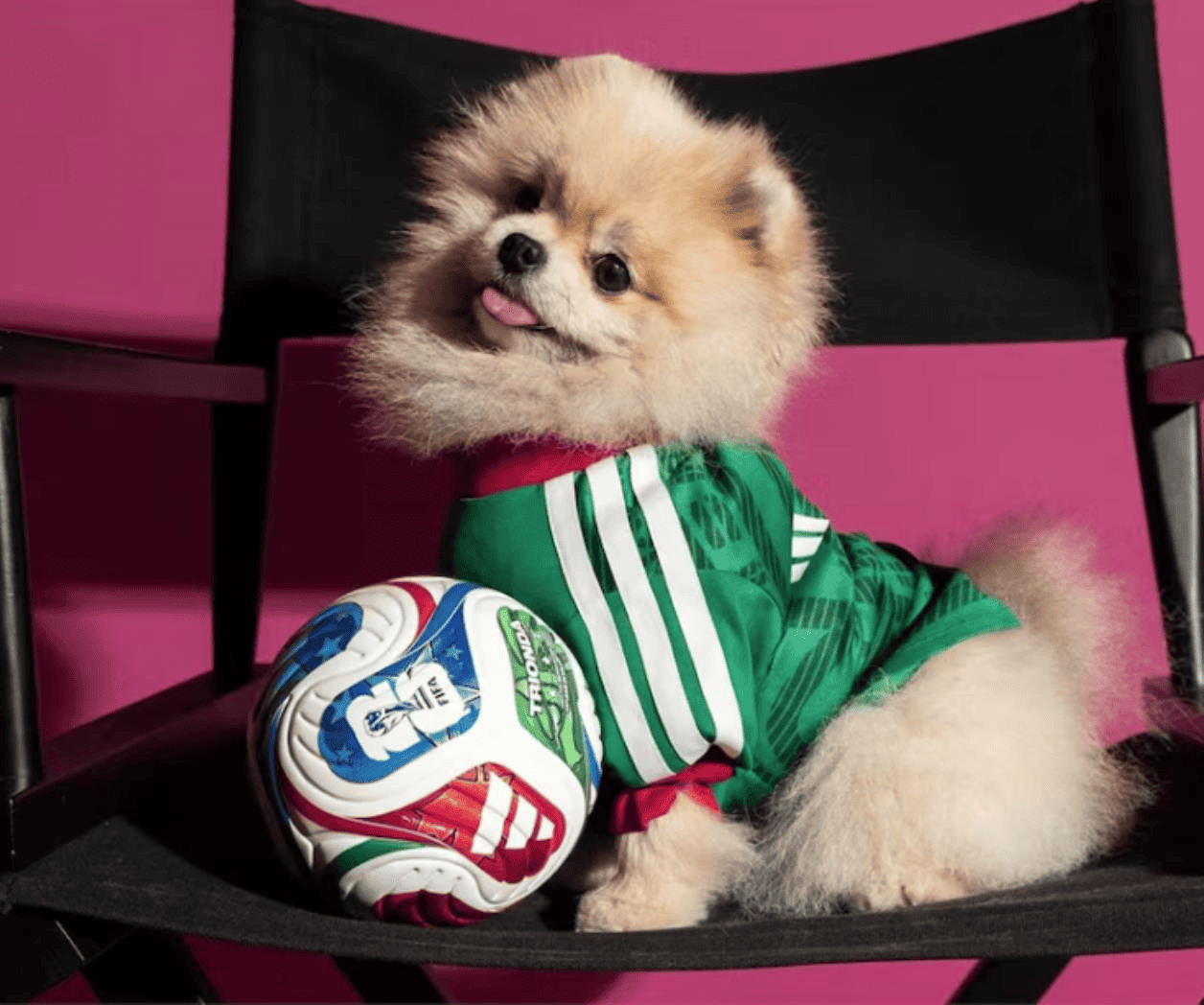 Adidas lanza jerseys mundialistas para perros en México