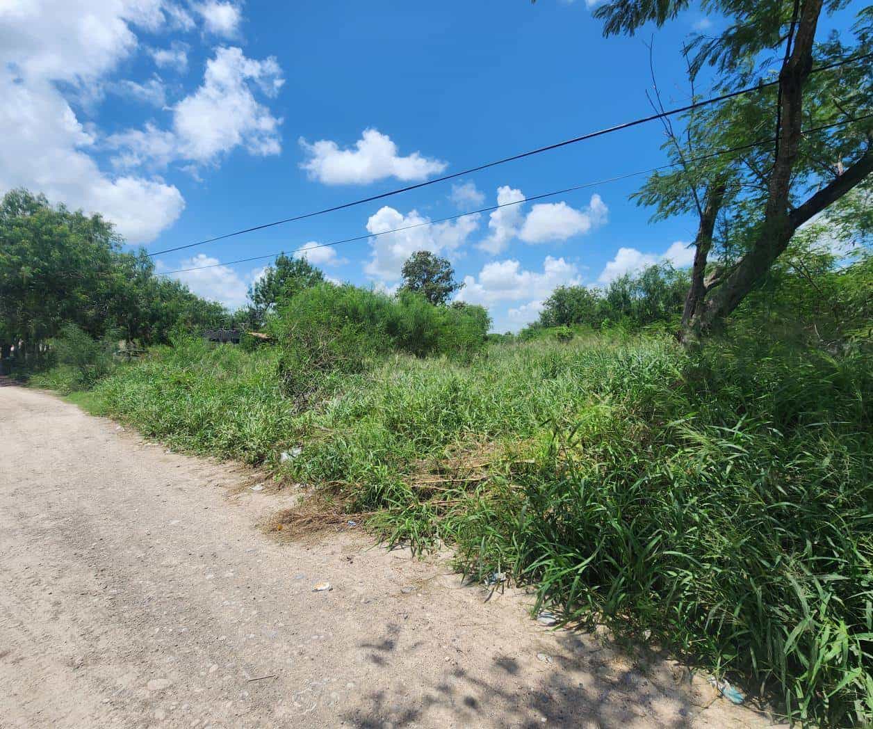 Exigen habitantes fumigación contra los zancudos