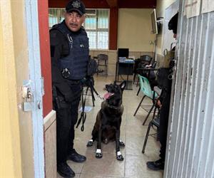 Alerta por reportes falsos en redes sociales