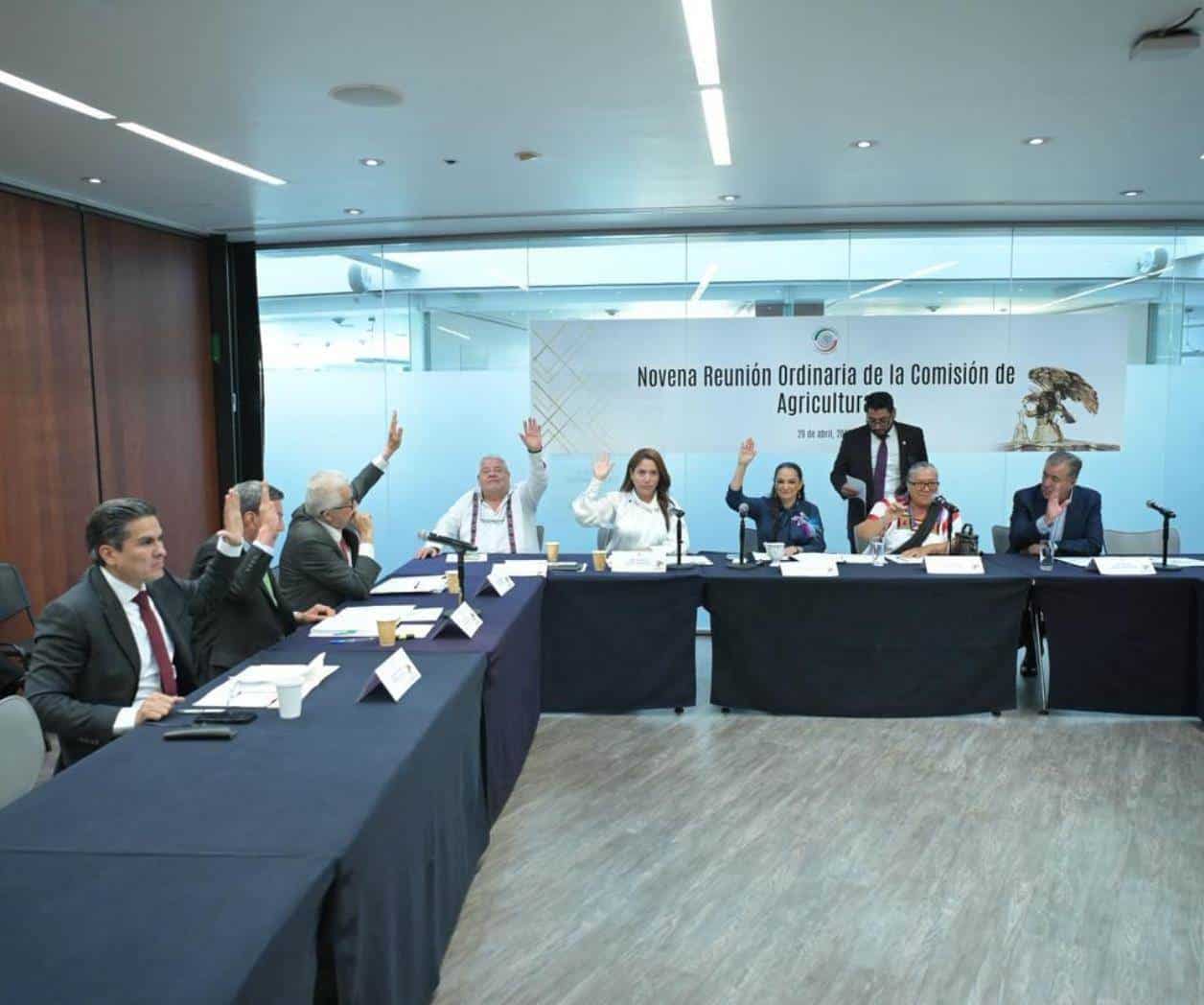 Avala Senado dictámenes  en materia de desarrollo  rural e igualdad de género