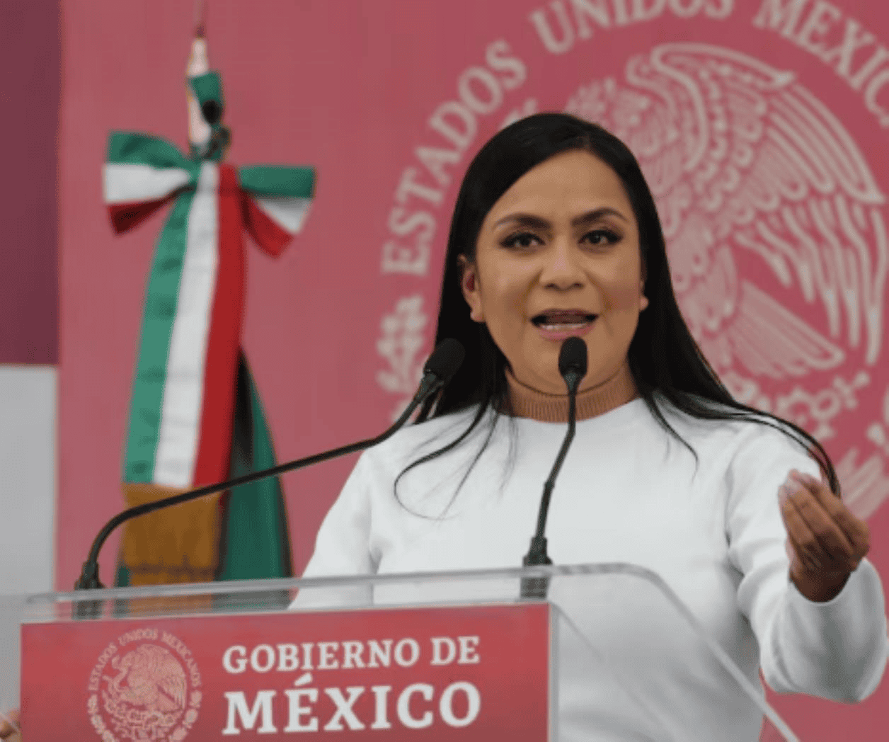 Ariadna Montiel, nueva presidenta de Morena