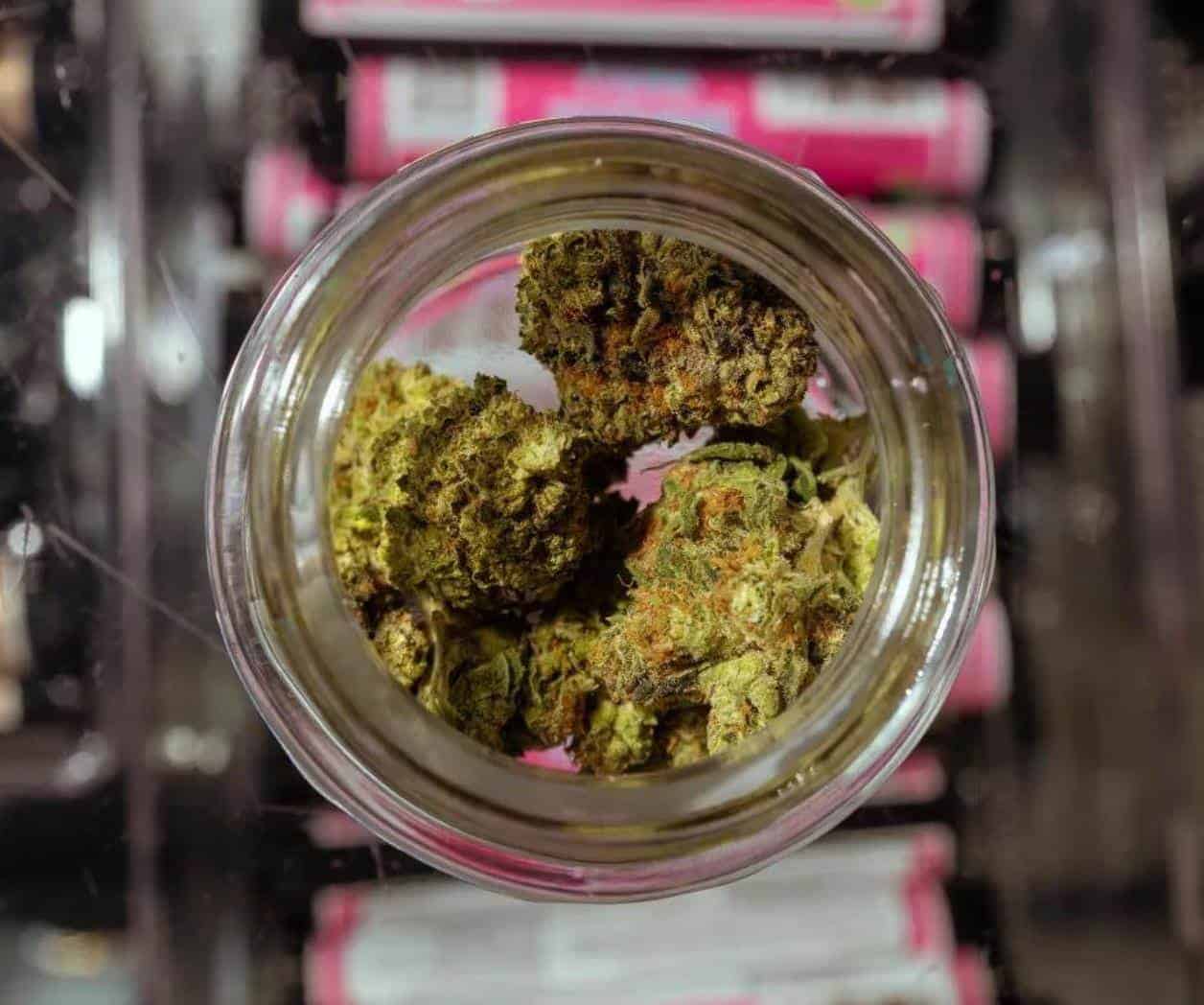 Permite juez venta de productos de cáñamo con THC para fumar