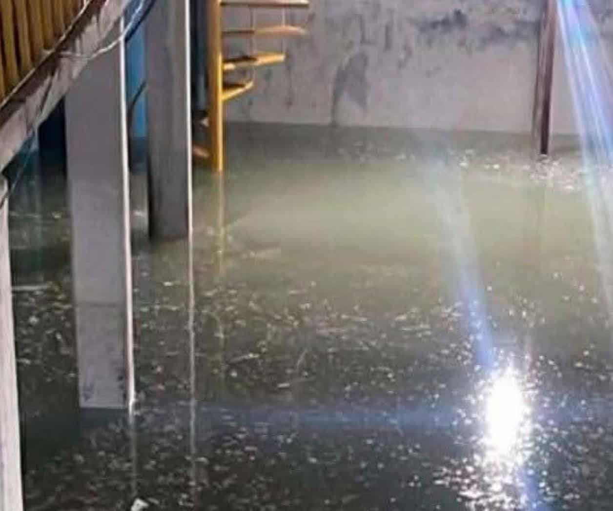 Megafuga de agua deja sin abasto a colonias
