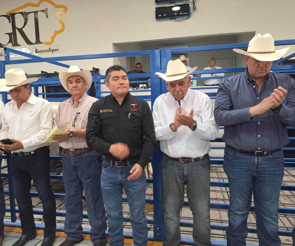 Logran vender en subasta 367 vacunos ofertados