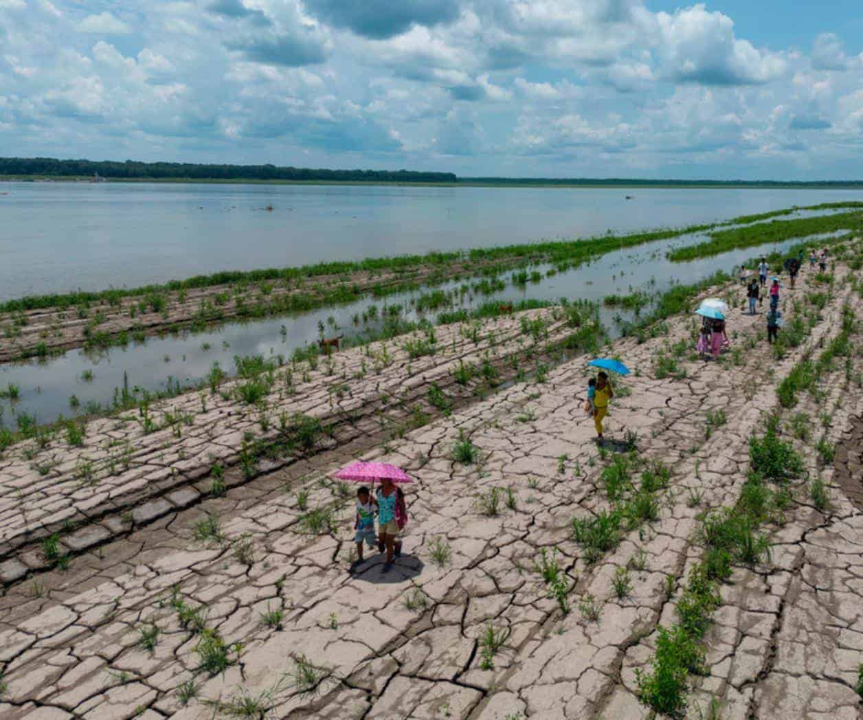 Qué saber sobre los pronósticos de que el fenómeno de El Niño de este año podría batir récords