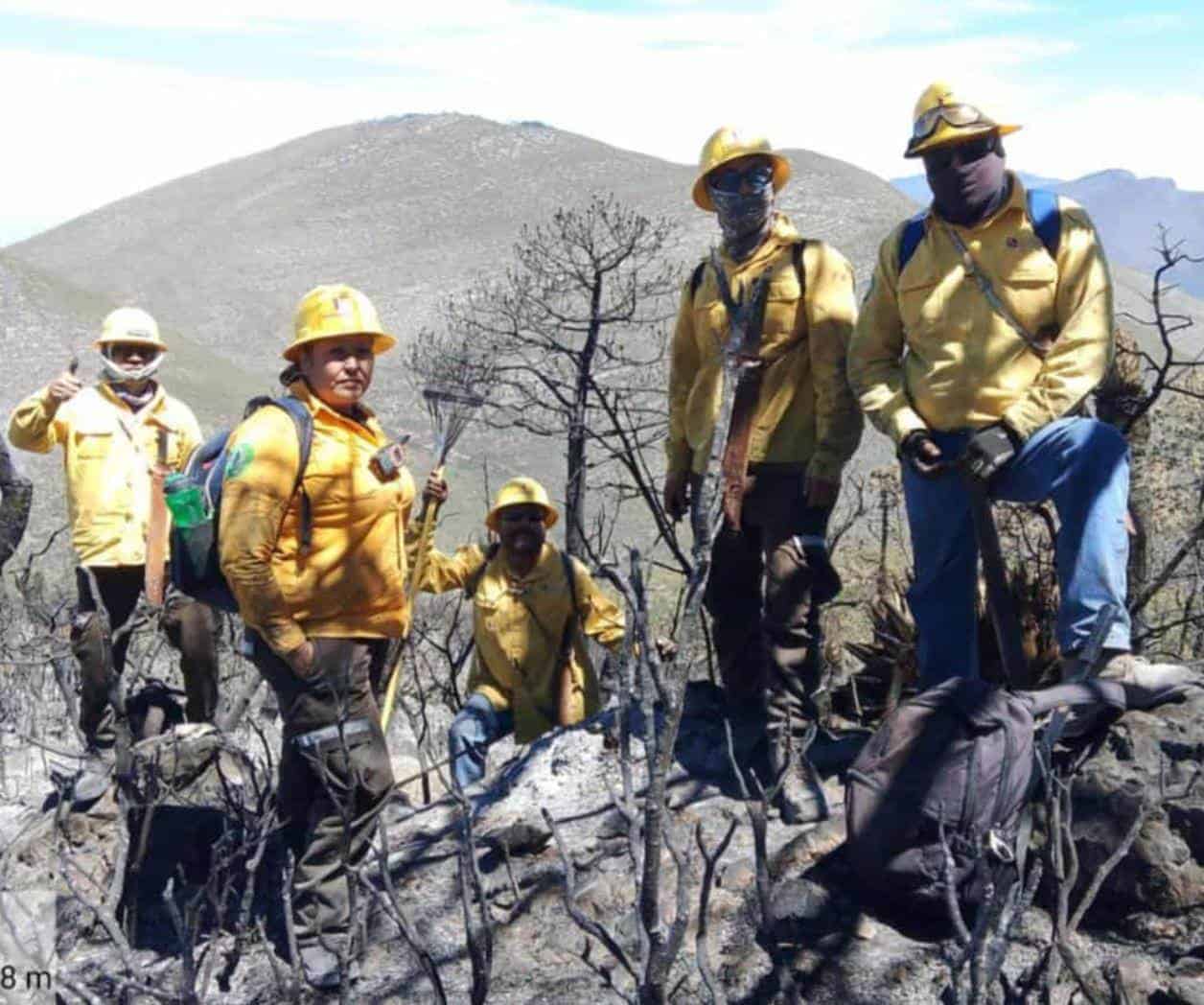 Suman 18 incendios forestales en Tamaulipas durante 2026