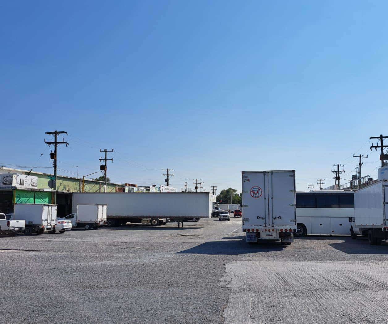 Refuerzan la Central de Abastos contra roedores