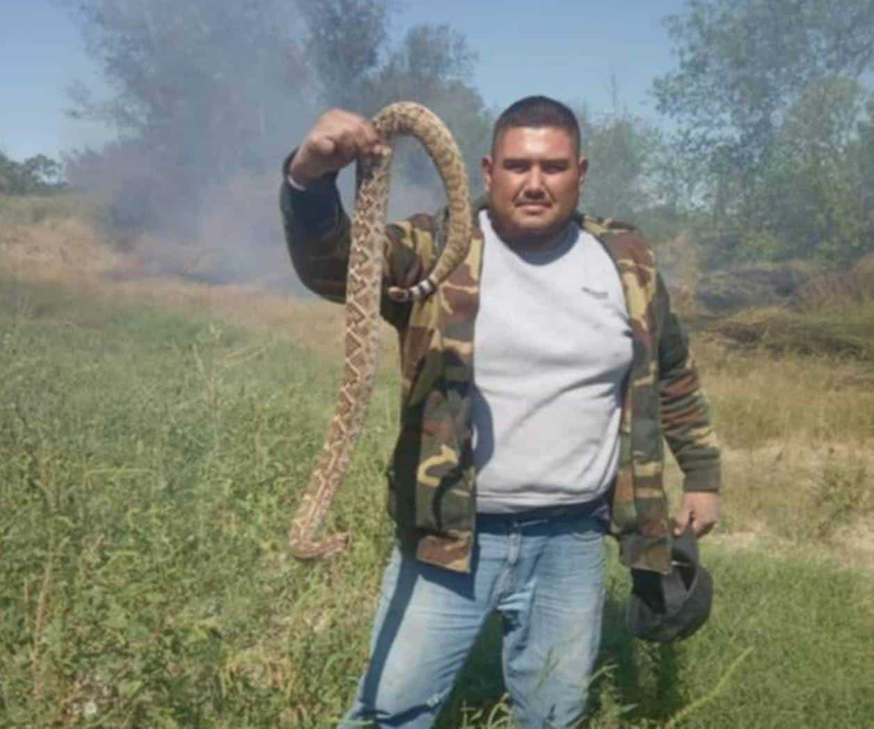Alertan ante proliferación de la víbora de cascabel