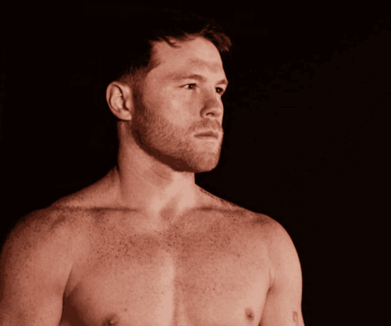 Canelo Álvarez ya tiene rival y fecha definida para volver al ring Canelo Álvarez ya tiene rival y fecha definida para volver al ring