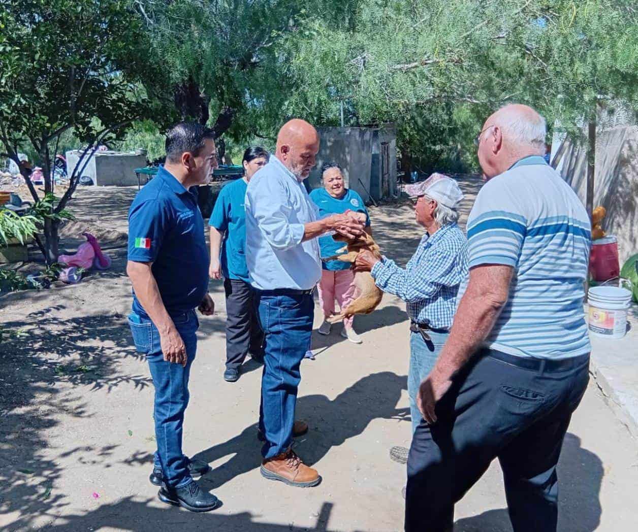 Atienden casos de  pulgas, garrapatas y  sarna en mascotas