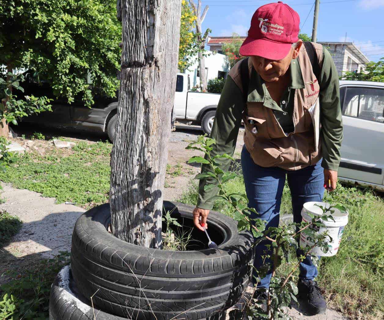 Aceleran fumigaciones ante riesgo de dengue