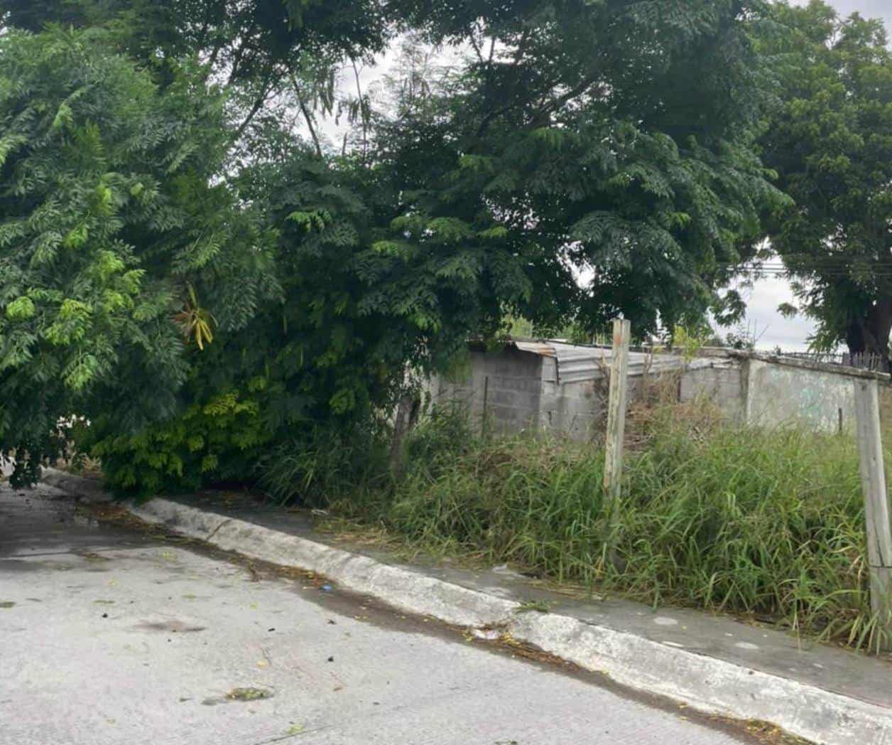 Frente frío y tormenta sorprende a Reynosa