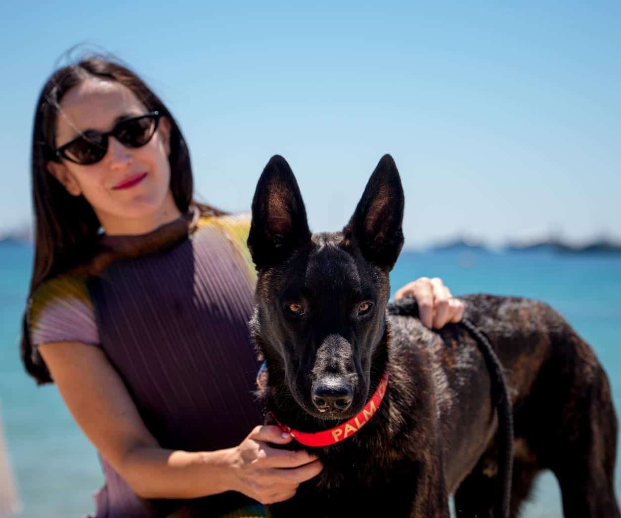 Gana premio Palm Dog  en Cannes