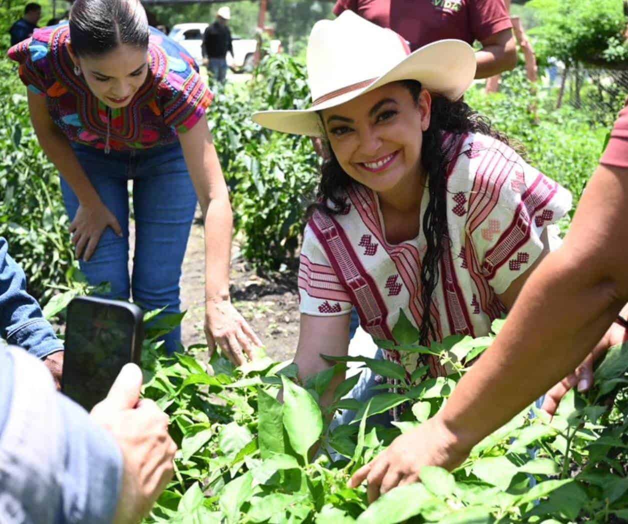 Olga Sosa recorre ejidos  y respalda Sembrando Vida