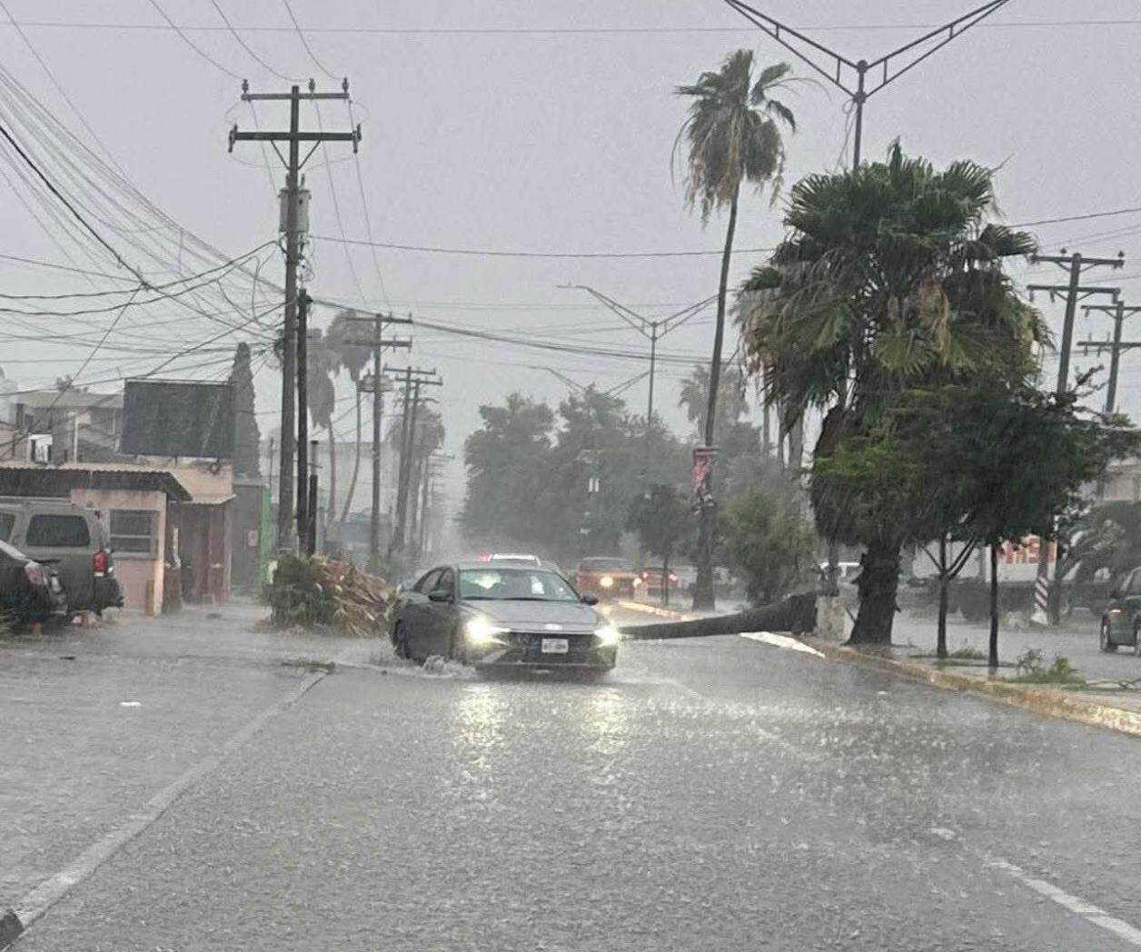  Tormenta y fuertes vientos causan estragos en Matamoros