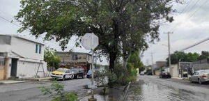 Maleza y fugas agravan abandono en vialidades