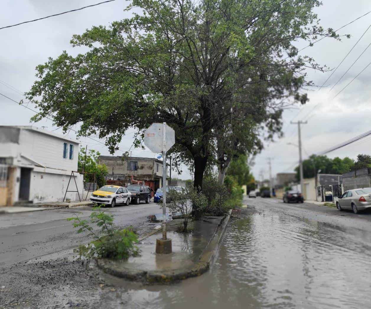 Maleza y fugas agravan abandono en vialidades