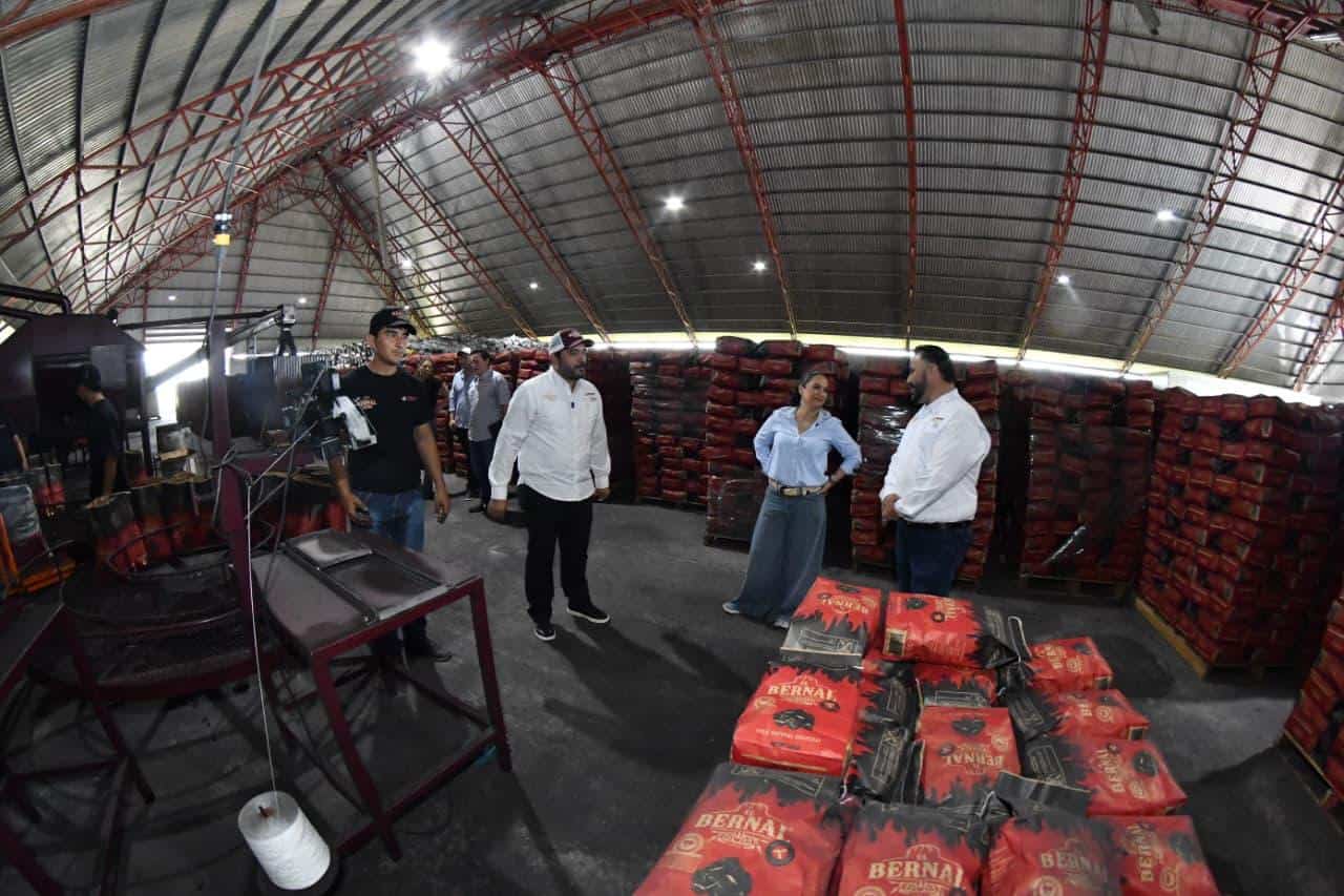 Senadora Olga Sosa destaca  proyecto ‘Carbón El Bernal’