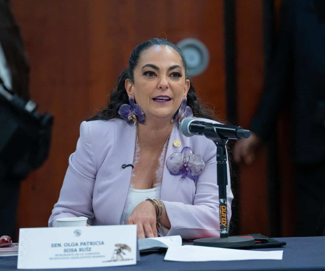 Aprueba el Senado cambios a la reforma del Poder Judicial