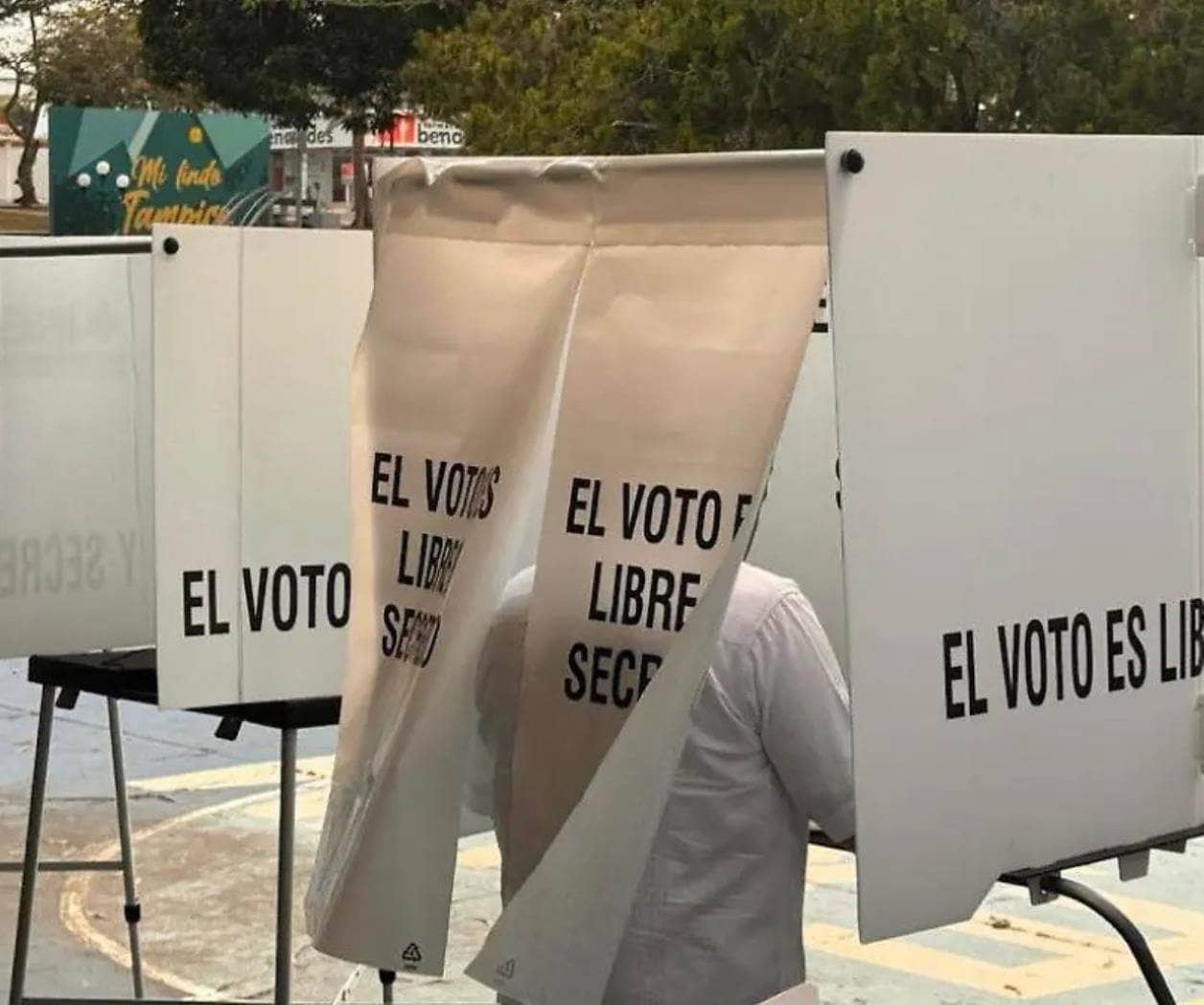 Nepotismo los une, reforma los divide